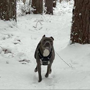 Meet your Posher, Korey